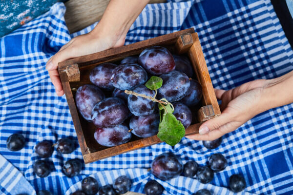    Фото: freepik.com