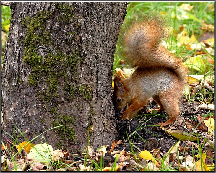 Фото из интернета