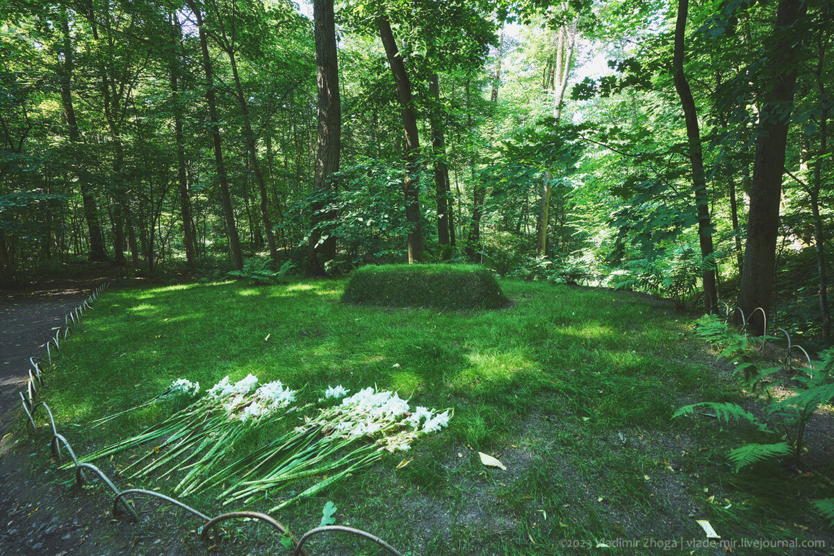 лев толстой лес. музей ясная поляна могила толстого. ясная поляна тула могила толстого. лев толстой лес. могила льва толстого.