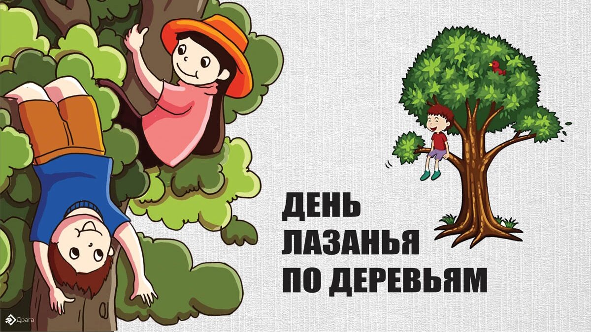 День лазанья по деревьям. Иллюстрация: «Курьер.Среда»