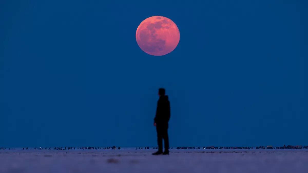 Dhruv Gajjar / EyeEm via Getty Images📷Красная луна