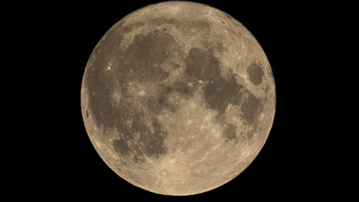 © JOEL GOODMAN / KEYSTONE PRESS AGENCY/GLOBALLOOKPRESS