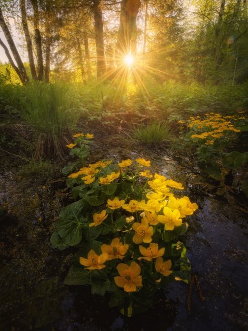 Фото: Дмитрий Медянцев
