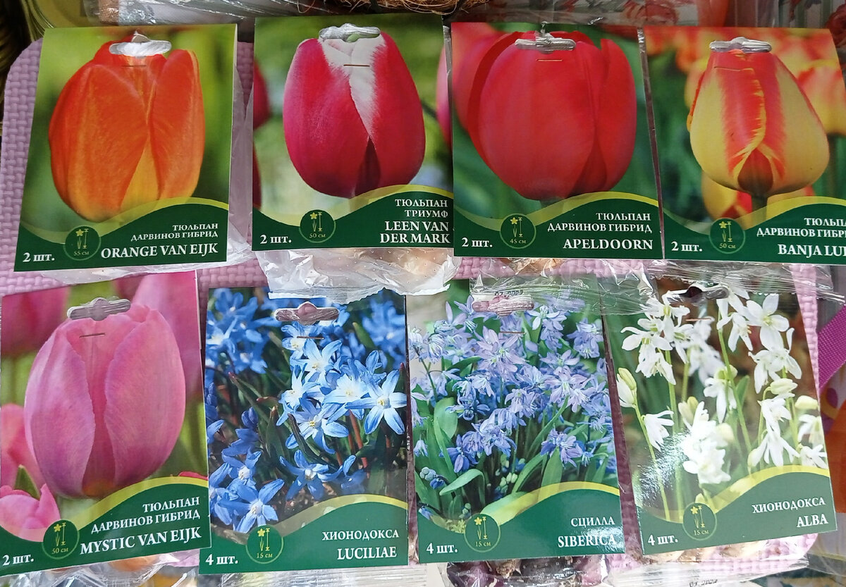 Ассортимент Фикспрайса