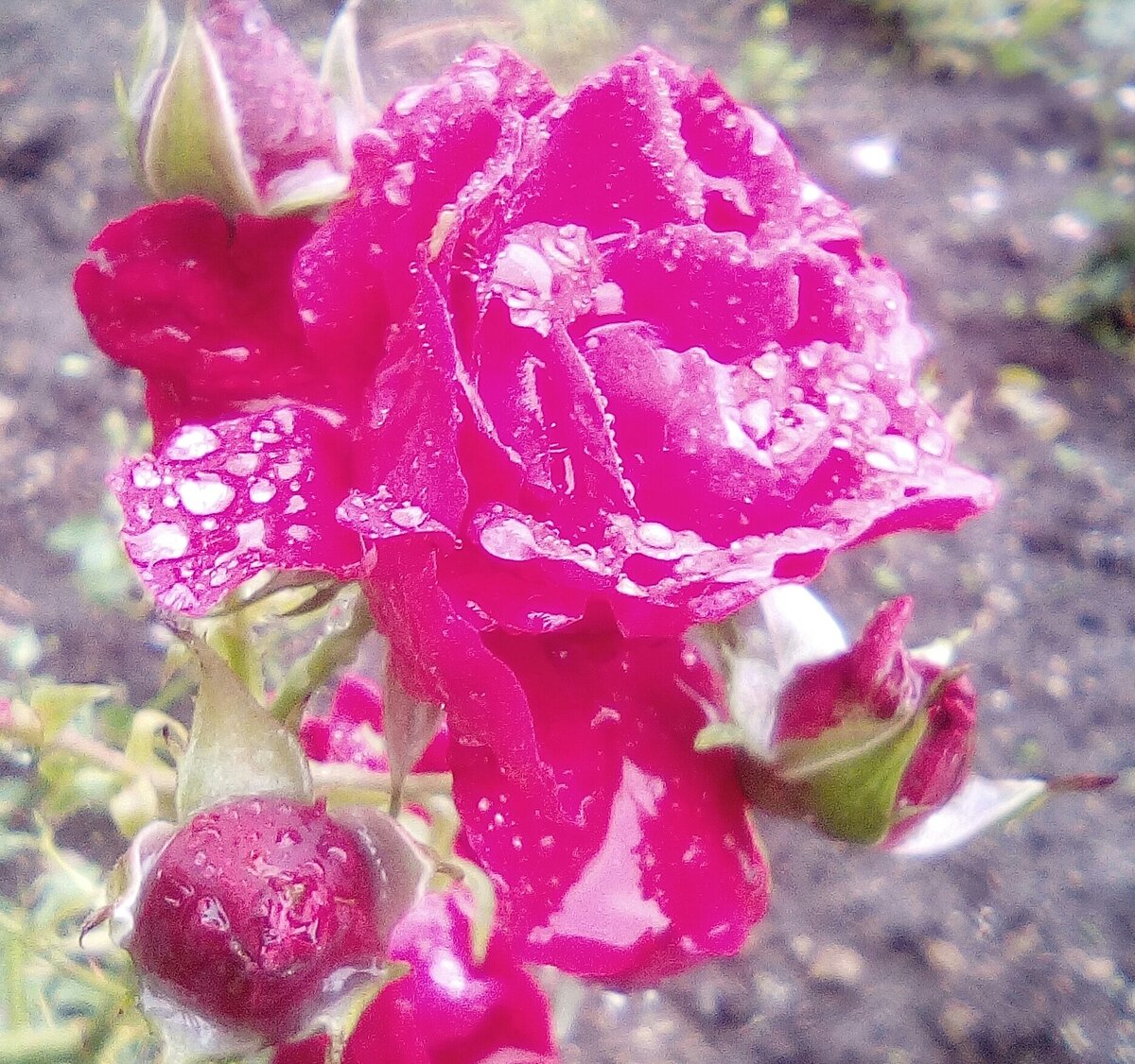 Автор фото Максим Вишневский Стихи Поэта