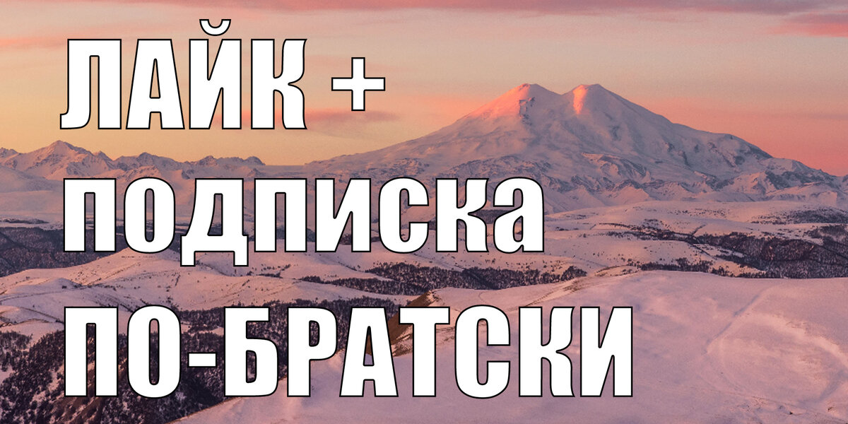 Кормим по братски. Подпишись по братски