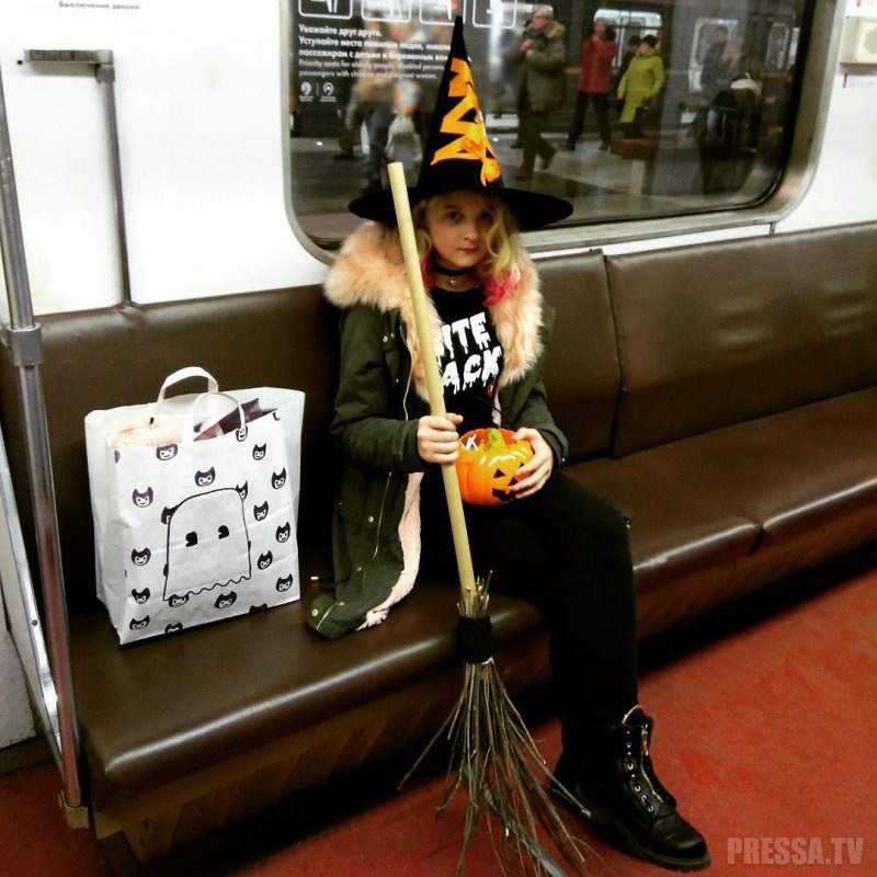 Яндекс. Картинки