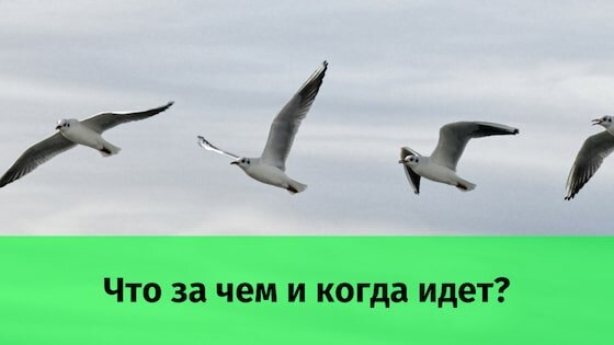 Всё в мире последовательно и создание сайта тоже.