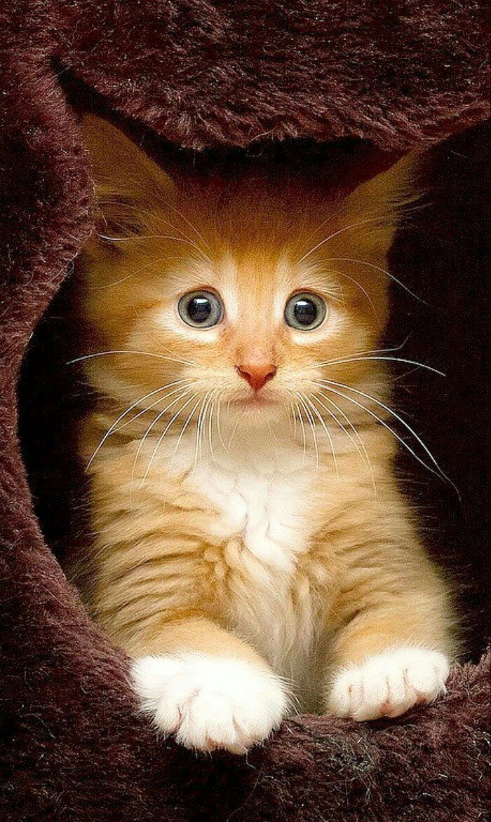 Изображение с сайта vk.com