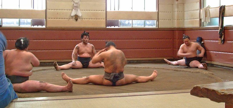 Наглядное доказательство того, что сумоисты — отнюдь не неуклюжие увальни