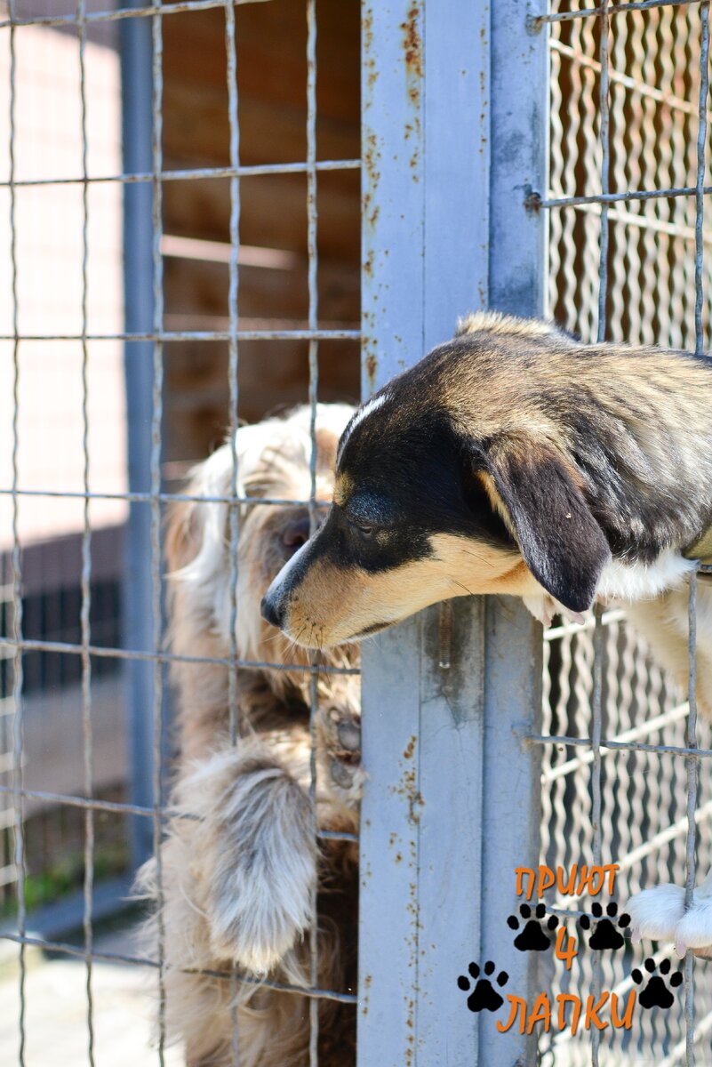 Фото:Андрей Шаталов