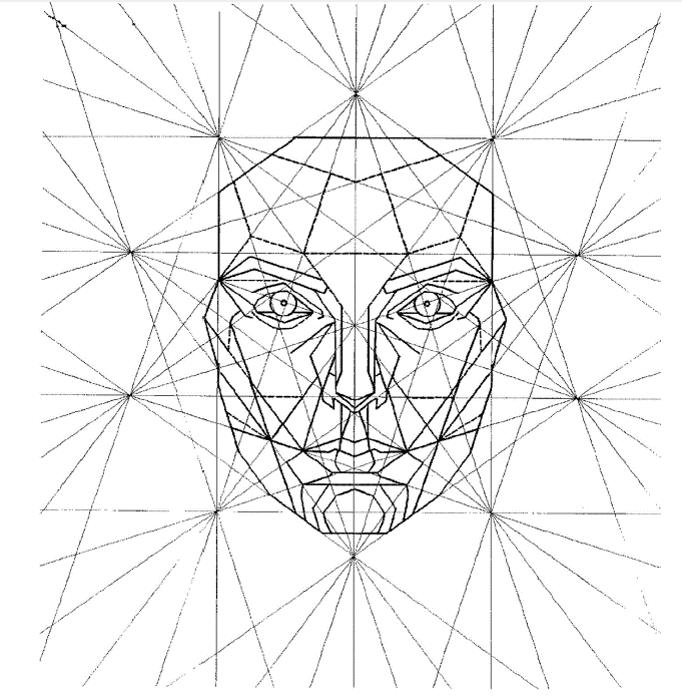 маска Золотых Пропорций  Стивена Маргардта