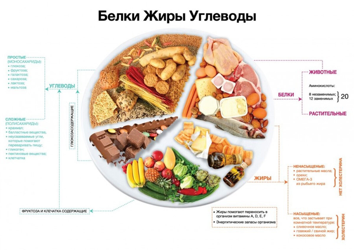 Состоять из белков и углеводов. Белки жиры углеводы соотношение правильное питание таблица. Продукты по содержанию белка жиров и углеводов. Схема питания углеводы белок жиры. Жиры углеводы белки таблица питание.