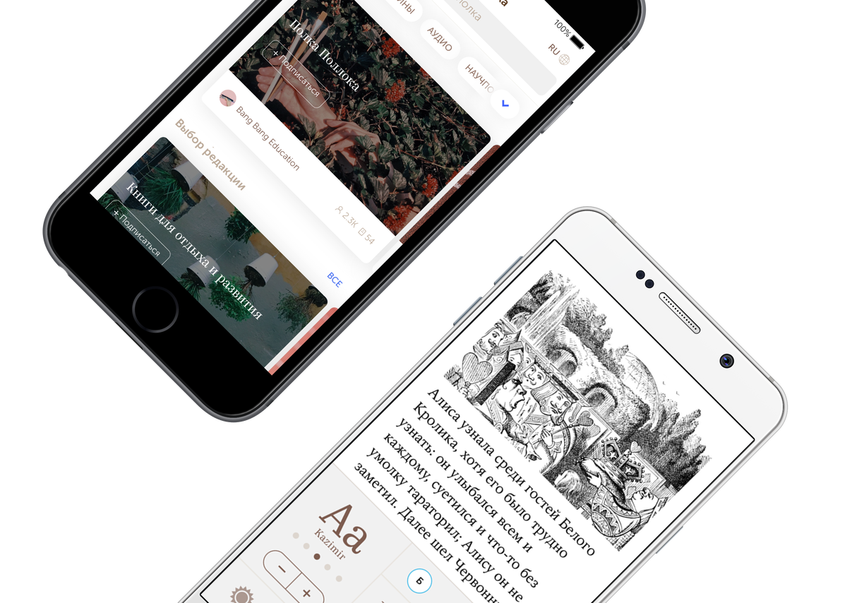 Источник: https://ru.bookmate.com/about/press