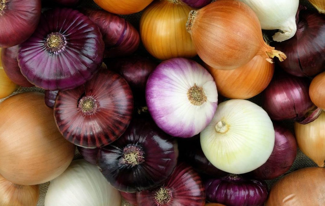 Фото взято из открытых источников в интернете