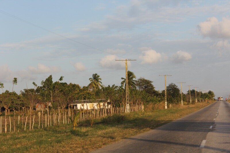Убранное табачное поле с изгородью. 