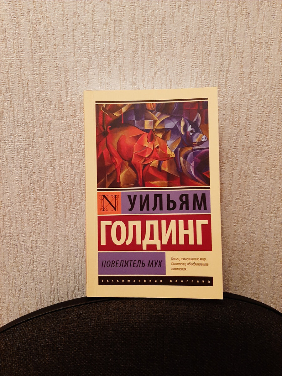 В книге рассказывается о том, как полный самолет детей разбился и вся детвора оказалась на необитаемом острове. 