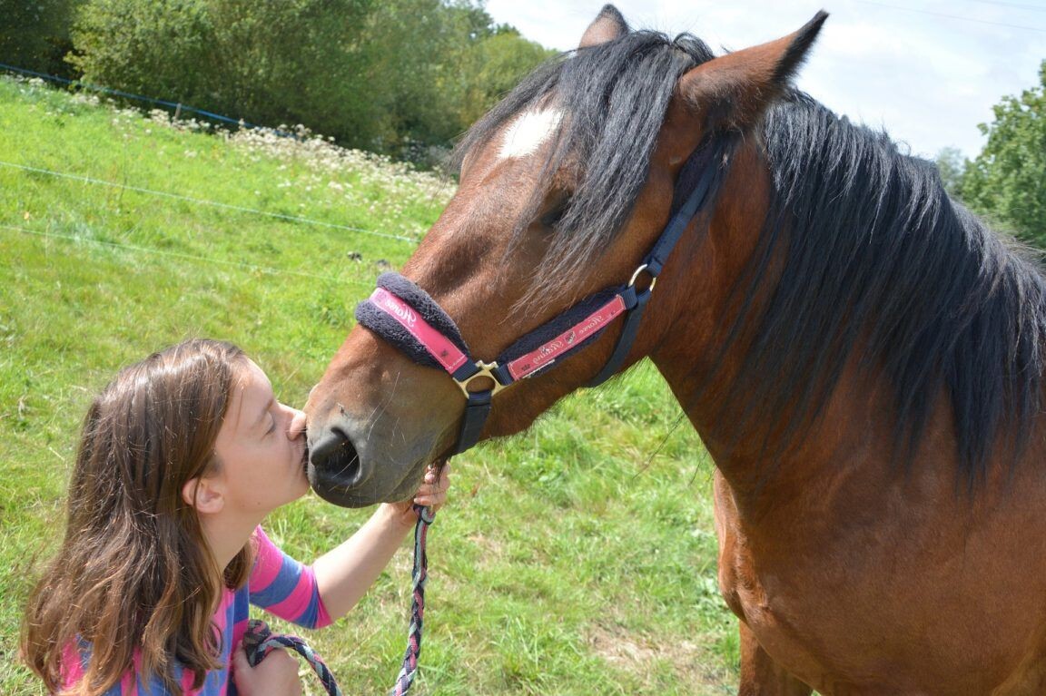 Семья, Мама, Роды, Животные