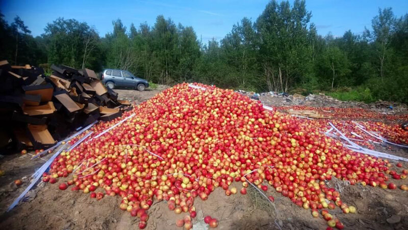 Фото с официального сайта федеральной службы по ветеринарному и фитосанитарному надзору.