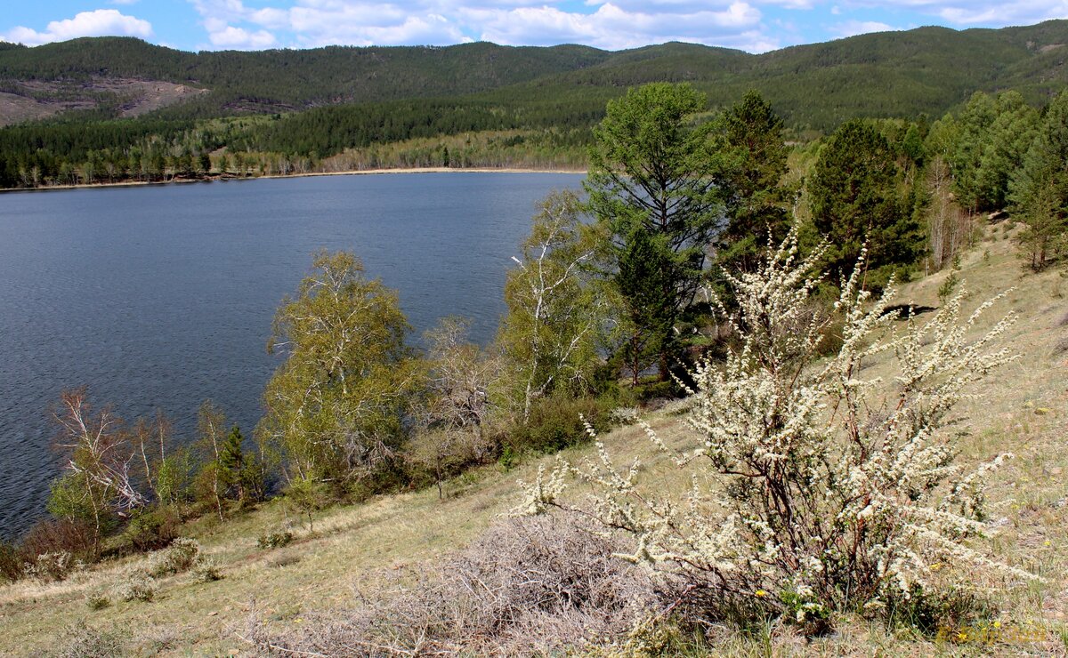 Карта спутник селенгинский район