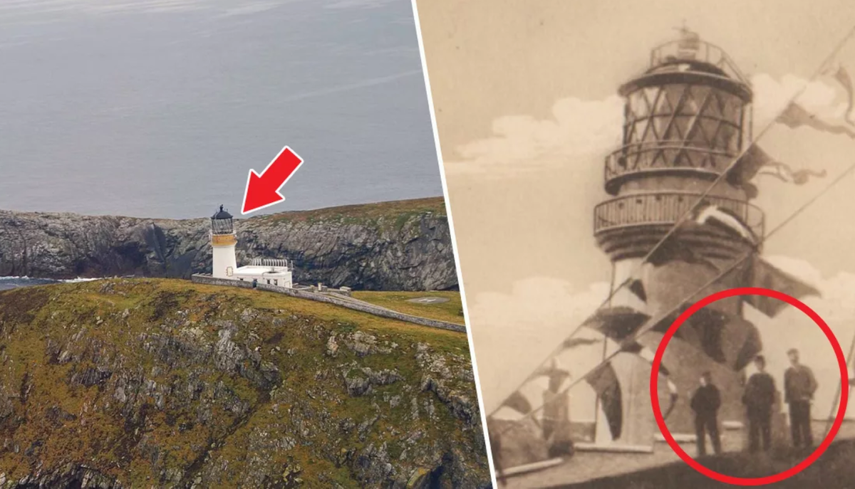 Источник фото: Яндекс Картинки