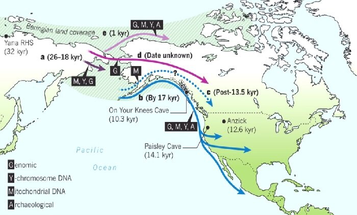 Схема движения кроманьонцев из Евразии в Америку по определяемым анализам ДНК найденных останков в указанных местах (из открытых источников)