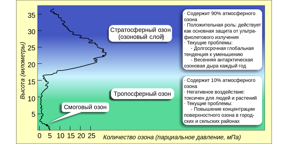 Материал взят с сайта Википедия.org