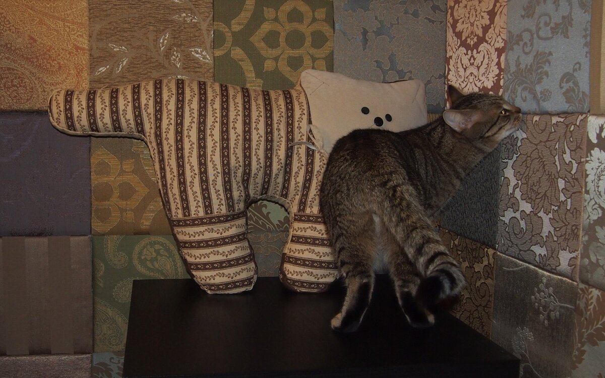 Подушка кот своими руками - картинки и фото aikimaster.ru