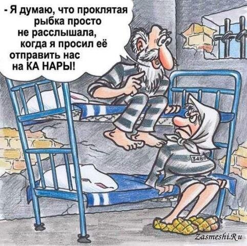 Источник картинки: https://zasmeshi.ru/caricature/category/96/family.html?page=16