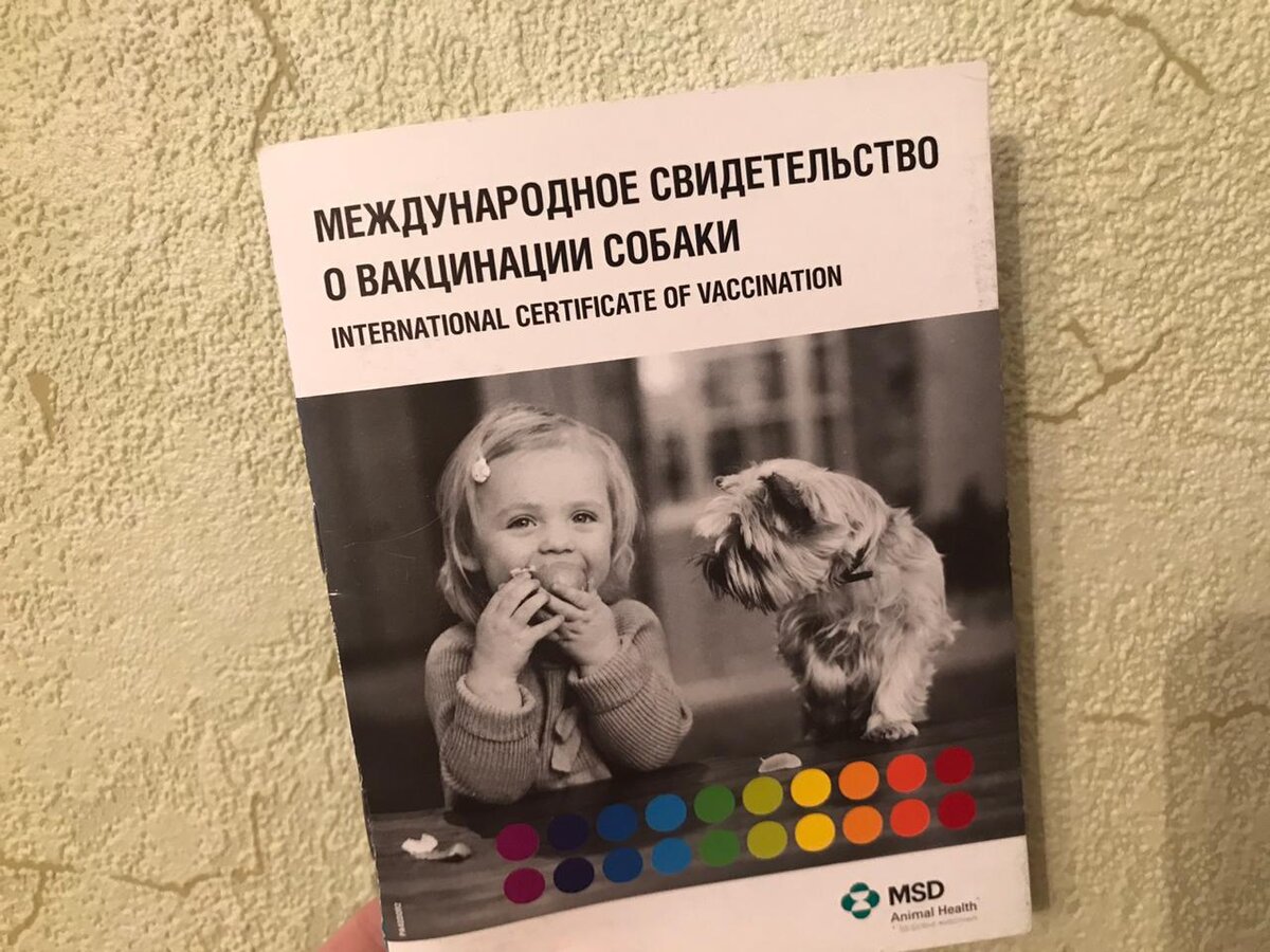 Фото: МОПС NEWS