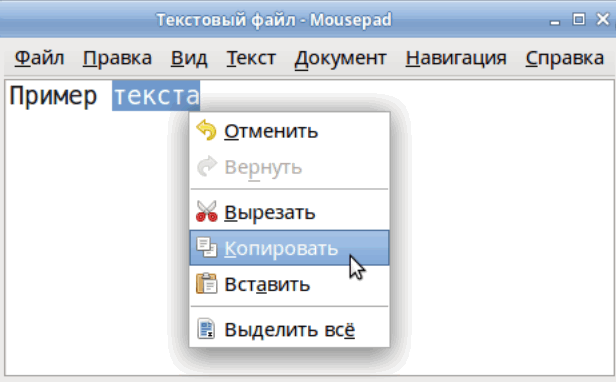 Копировать / вставить... (превью)