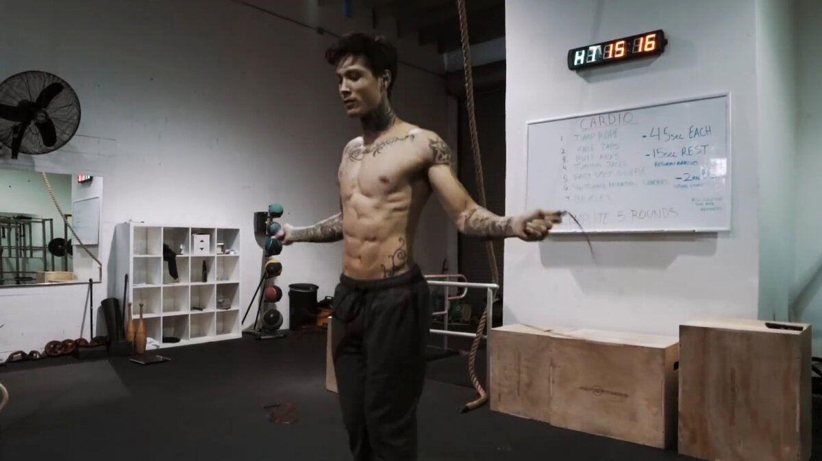 Взято с официального канала THENX 