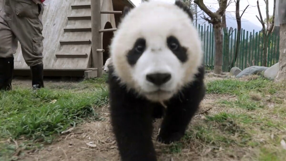 А что-то – даже более фантастично