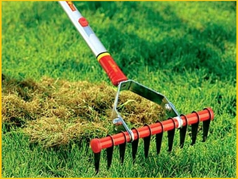 Сад, огород, урожай, участок, цветы, компост