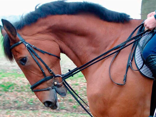 Источник фото сервис Яндекс.Картинки