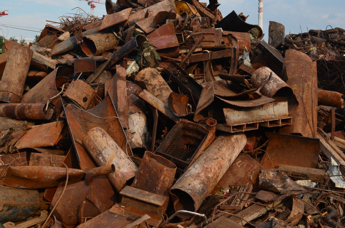 Фото Яндекс картинки