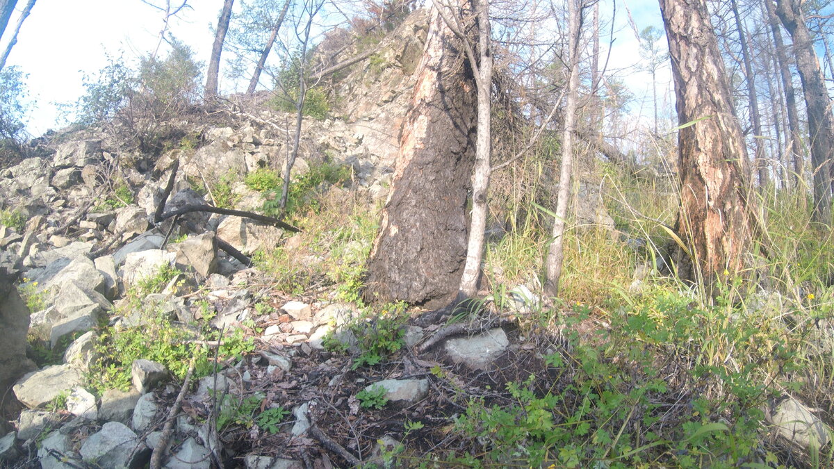 Скала, под которой я ночевал