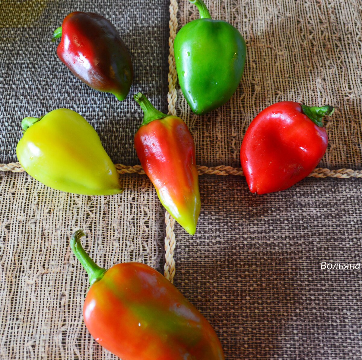 Самое вкусное лечо получается из самых красивых перцев.