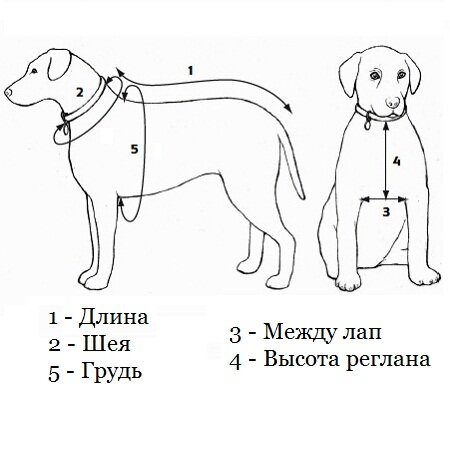 Таблицы размеров одежды и обуви для собак