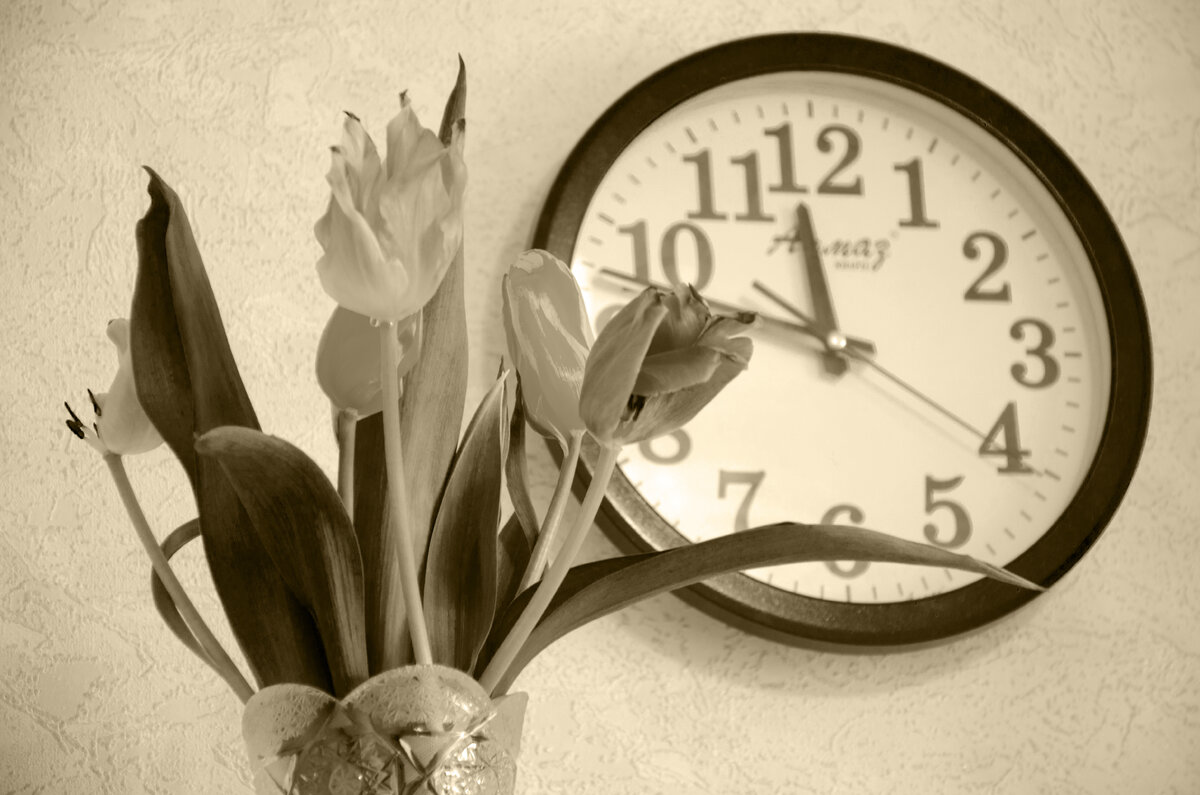 Автор строк и фото: КоМариша