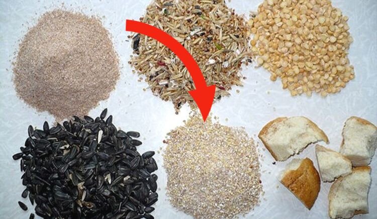 Поведение окуня зависит от времени года. В первую очередь рассмотрим осеннюю рыбалку. 