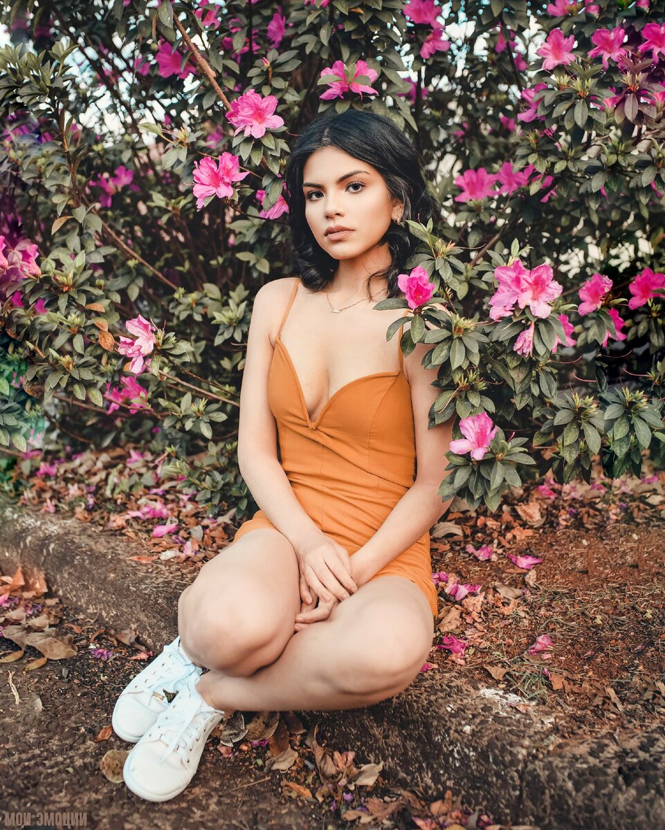 Фото автора Renato Abati : Pexels