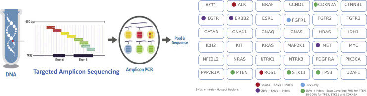 https://www.sciencedirect.com/science/article/pii/S2452109419300582