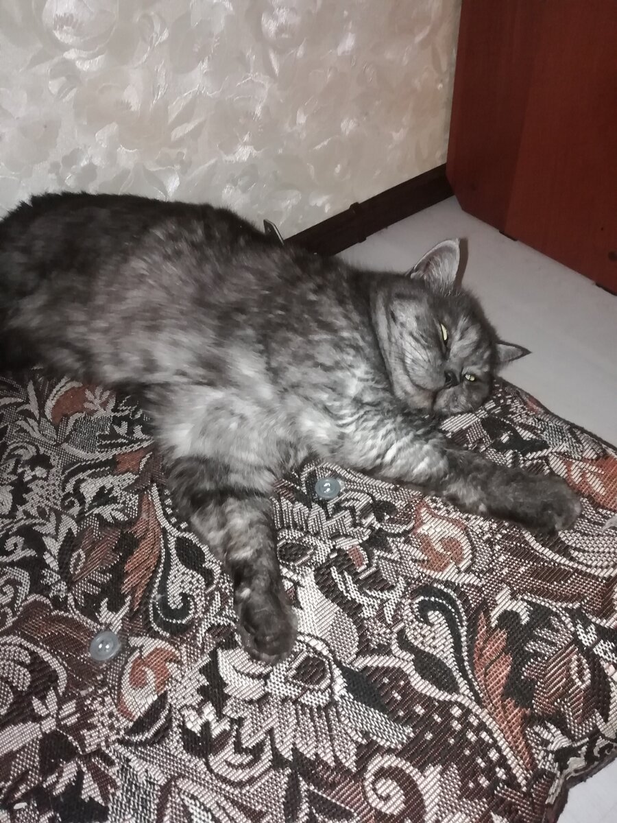 Недовольный,  разбудили