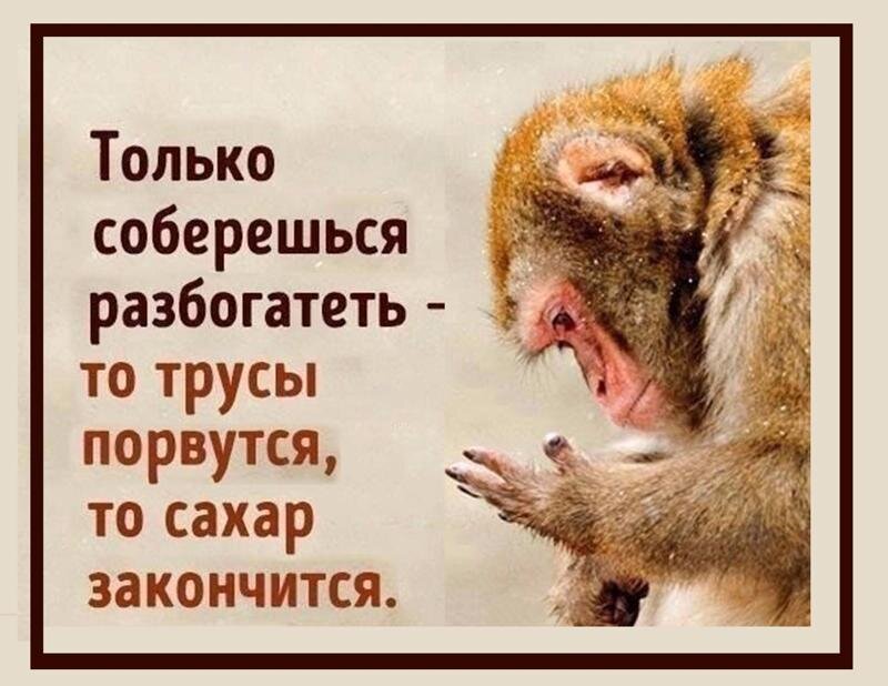 Горькая правда жизни... Фото mail.ru