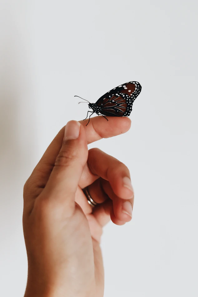 https://unsplash.com/photos/cFIrOY6fqNY