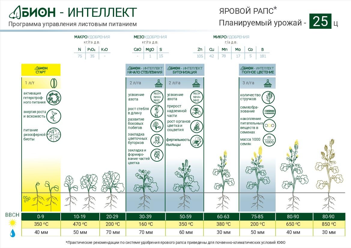 Схема защиты рапса ярового