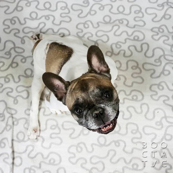 Мягкая подстилка - это очень важно :)