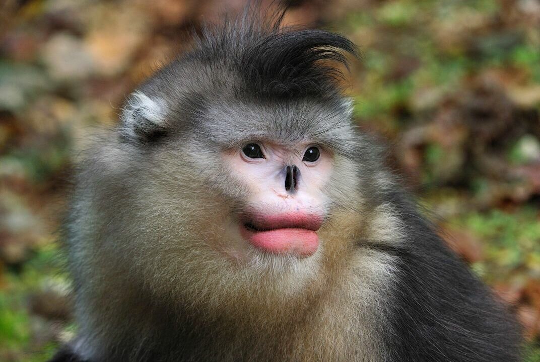 Открытый источник: Google