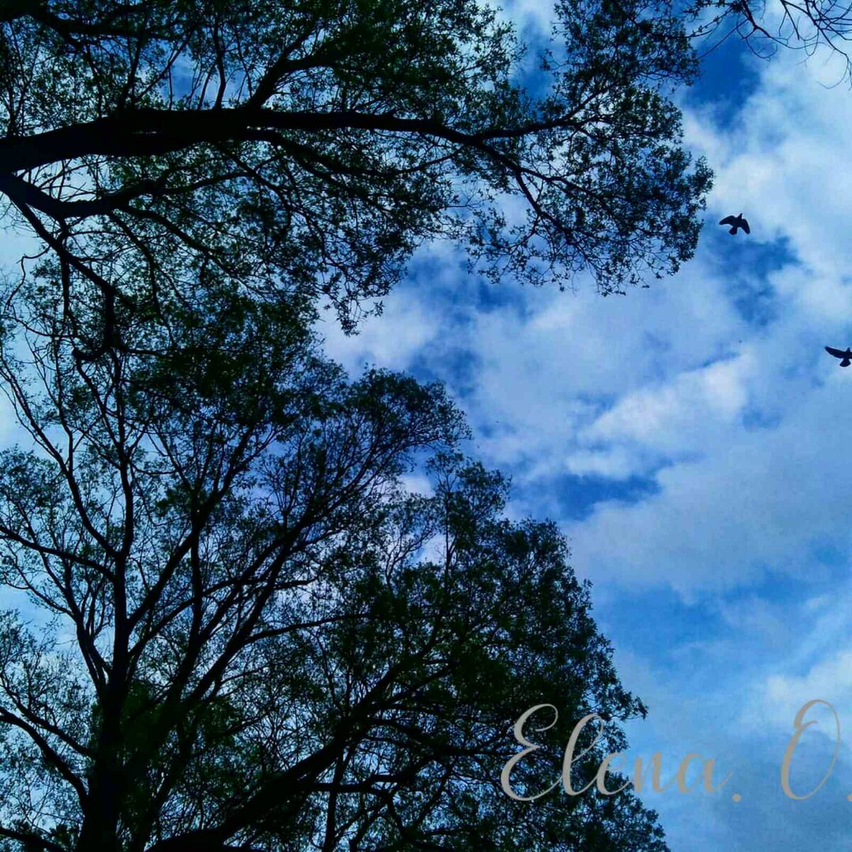 Фото из личного архива 